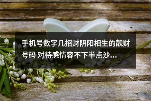 手机号数字几招财阴阳相生的靓财号码 对待感情容不下半点沙子的数码组合
