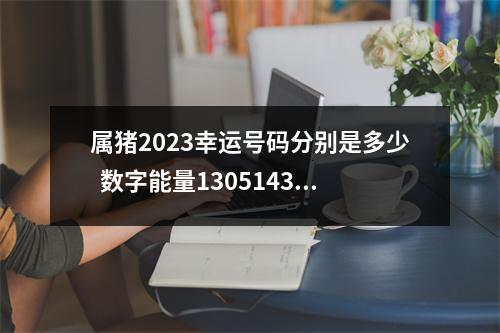 属猪2023幸运号码分别是多少  数字能量1305143 让你小人缠身的格局有哪